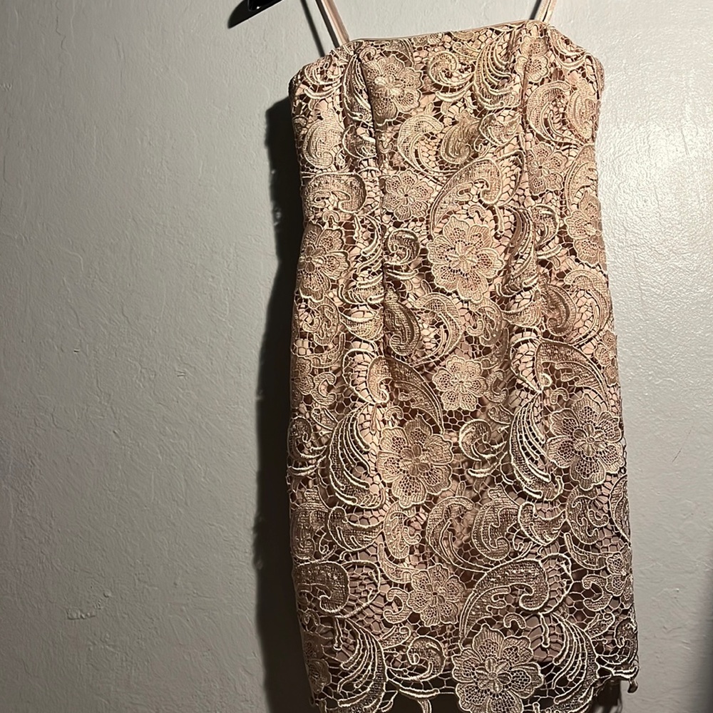 Silky floral lace dress